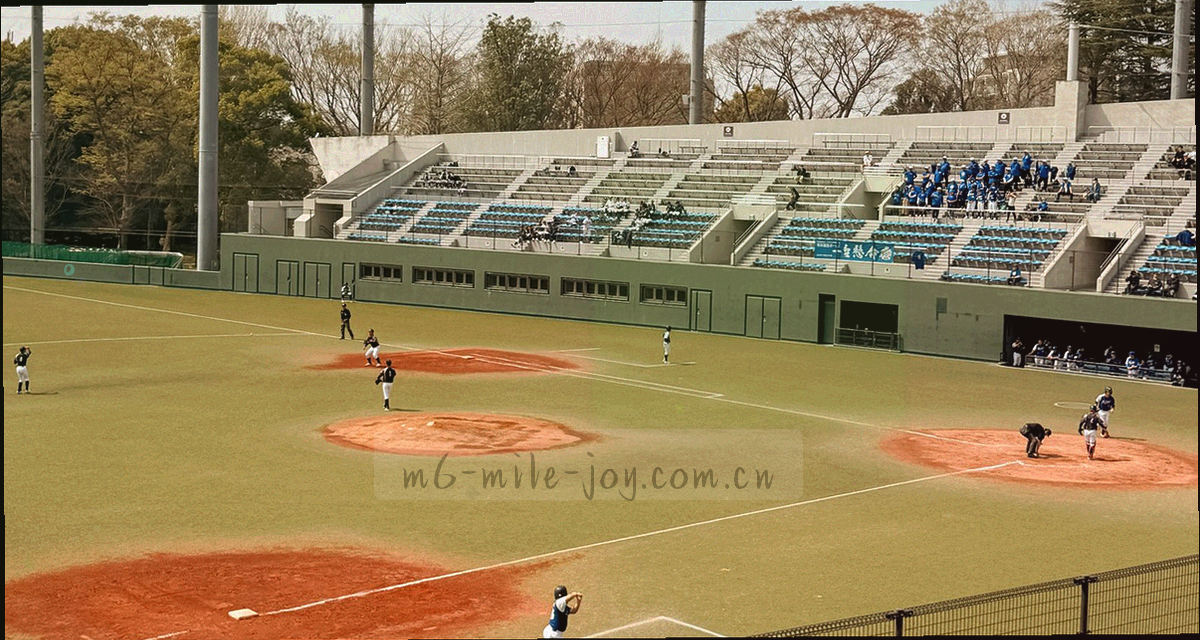 青岛办公地点周边街区与海岸线条的抽象示意，用色块标出方位关系